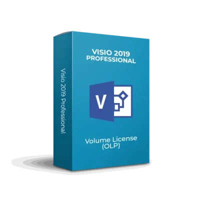Microsoft Visio Professional 2019 OLP 1 Poste (D87-07499)
