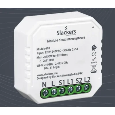 MODULE DEUX INTERRUPTEURS