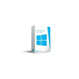 WINDOWS SERVER CAL 2016 OEM FRANÇAIS - (R18-05245)